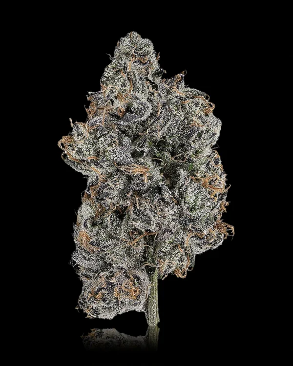 Lemon Cherry Gelato THCa Flower
